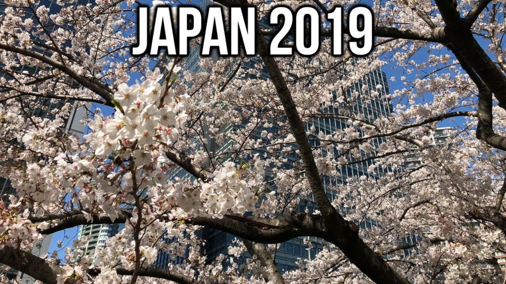 Fun Travels: Running Around Japan 2019 – Tokyo, Kyoto, Osaka, Shizuoka