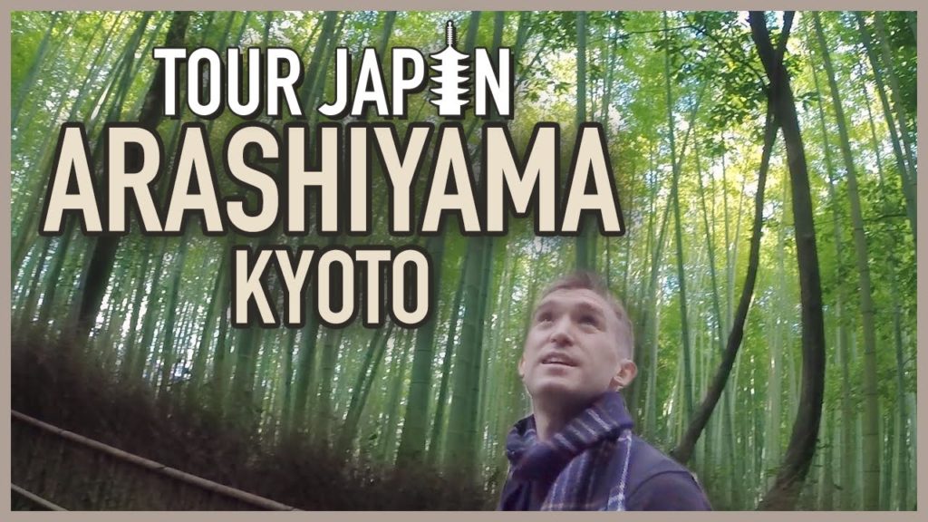Kyoto's Bamboo Forest & More: Guide to the Arashiyama District