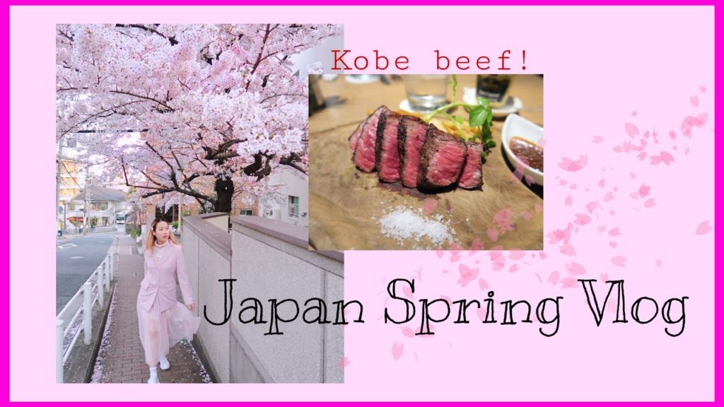 JAPAN SOLO TRAVEL VLOG: EATING KOBE BEEF & MORE! JAPAN SOLO TRAVEL VLOG: EATING KOBE BEEF & MORE!