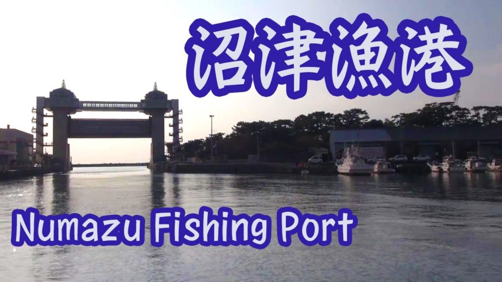 沼津漁港  Numazu Fishing Port