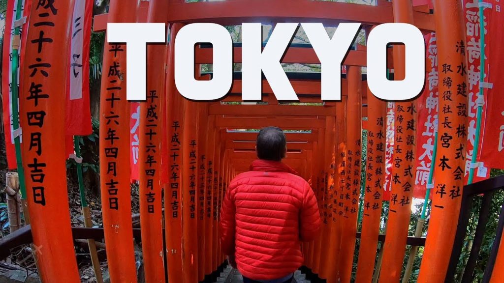 Top Things to do in Tokyo For First Timers | Travel Vlog | The Planet D