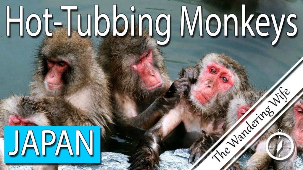 JAPAN: Hakodate Botanical Gardens & Yakura Shrine | TRAVEL VLOG #0139 JAPAN: Hakodate Botanical Gardens & Yakura Shrine | TRAVEL VLOG #0139