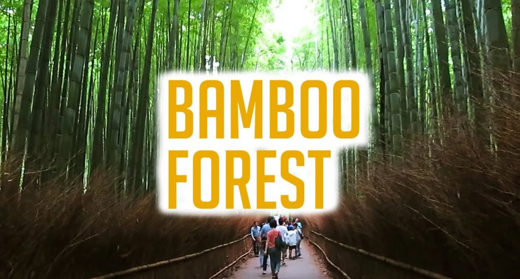 KYOTO, JAPAN TRAVEL VLOG: Higashiyama & Kinkaku-ji & Arashiyama