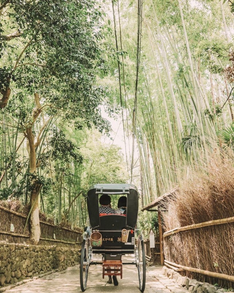 Sometimes the best solution to battle the heat is to just stay in the shade, and...