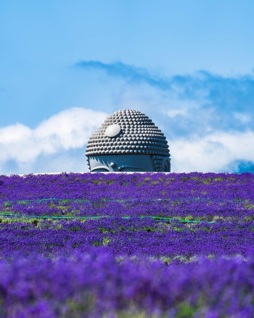 The contemplative Hill of the Buddha in Makomanai Takino Cemetery in Sapporo was...
