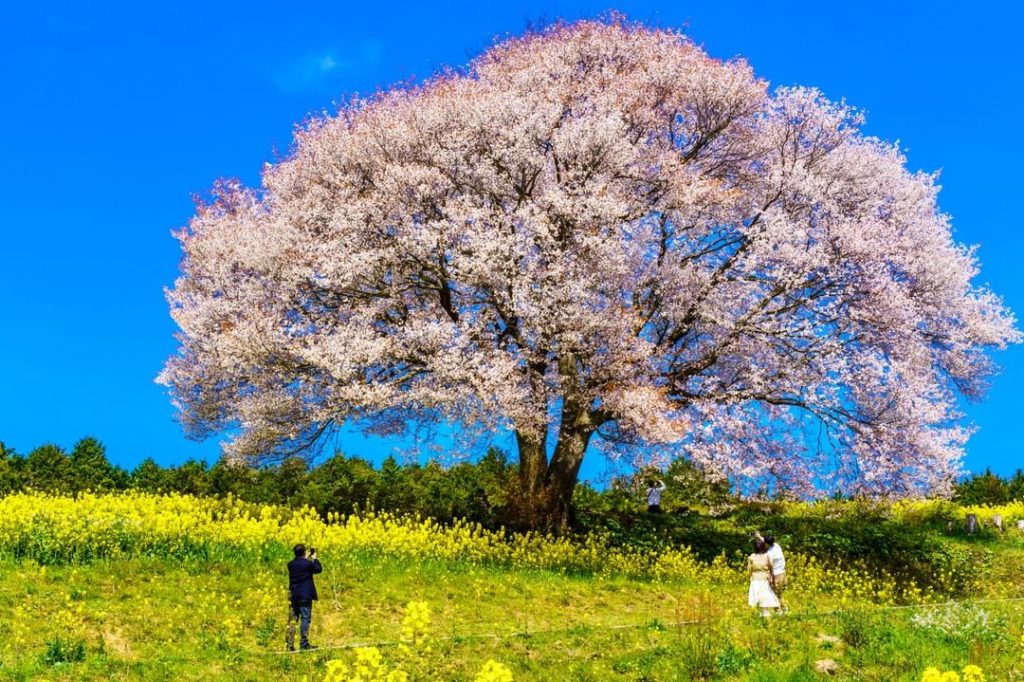 If you travel off the beaten path, you may be rewarded with views like this!  Th...