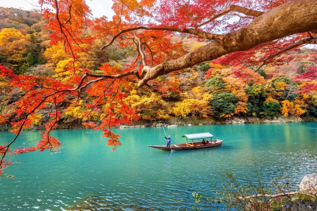 Fall boat cruises on the Hozugawa River are a great way to see the nature near A...