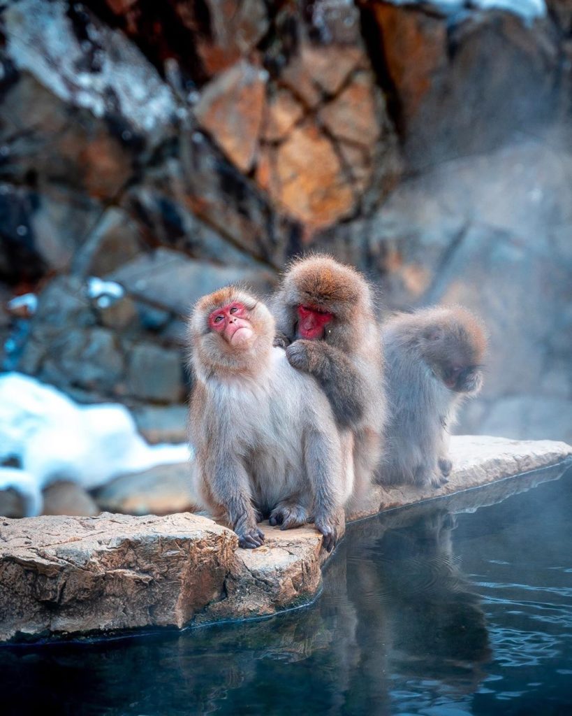 Japan Travel: “Okay…a little to the left….and now a little to the right…ahhh, that’s the… "Okay...a little to the left....and now a little to the right...ahhh, that's the...