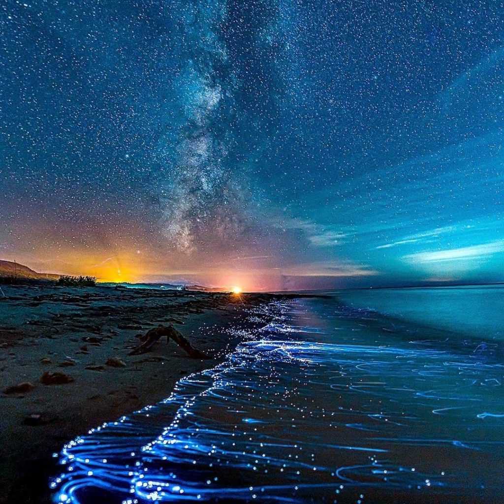 .
#AmazingAugust  The sea-fireflies off the coast Sado Island in Niigata Prefect...