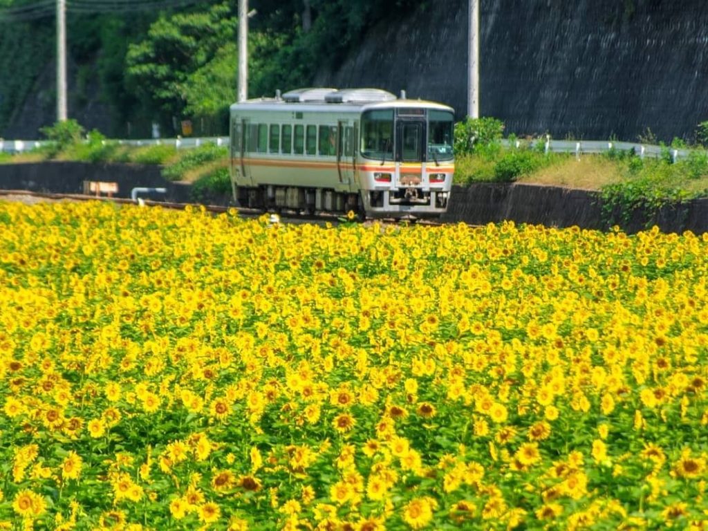Wouldn't this be an awesome commute?  @toorurira took this great shot of a tiny ...