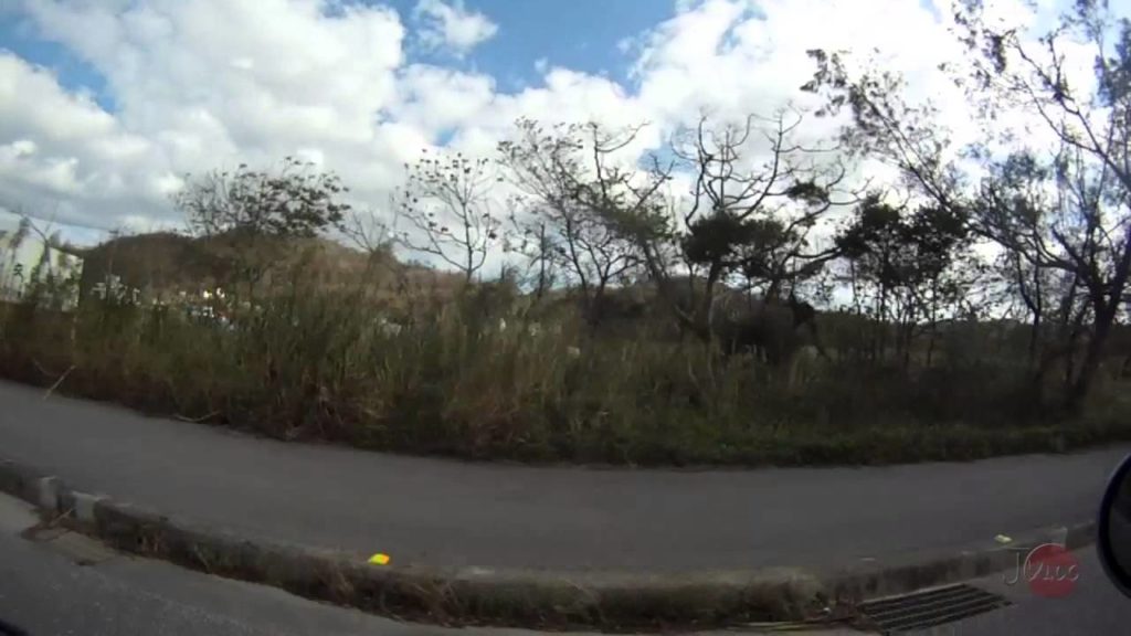 Driving Okinawa - Nago