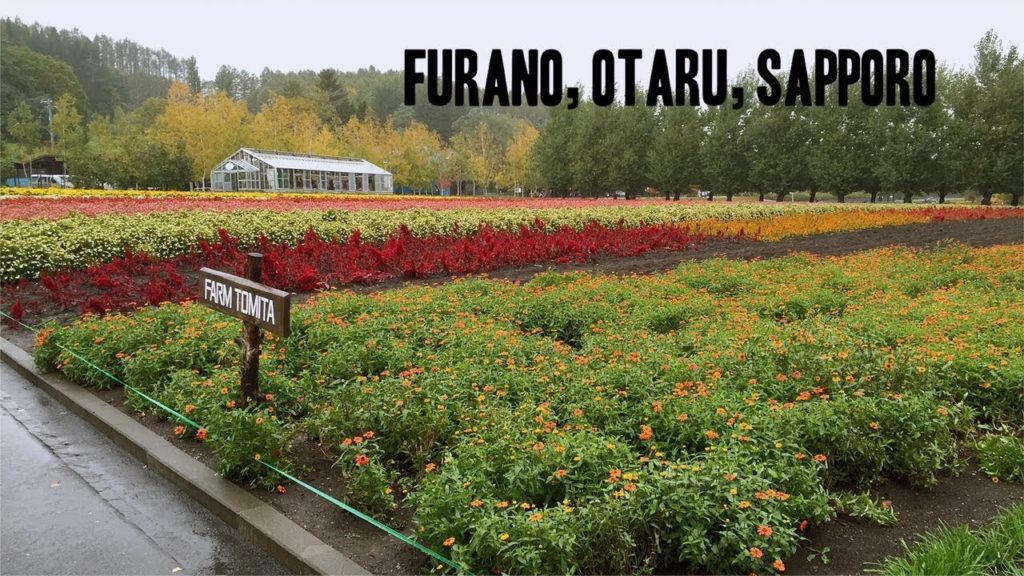 Hokkaido Travel Diary | Music Box Museum, Chocolate Factory, Farm Tomita (October 2015) Hokkaido Travel Diary | Music Box Museum, Chocolate Factory, Farm Tomita (October 2015)