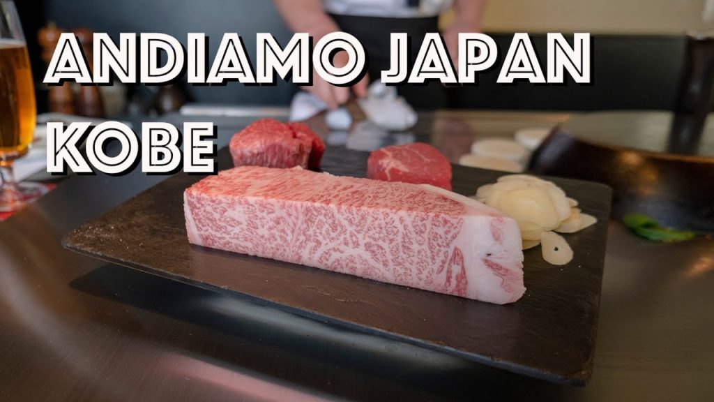 Japan travel a day in Kobe