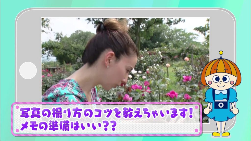 SELECTRAVEL 【KYUSYU】 MIYAZAKI・KAGOSHIMA