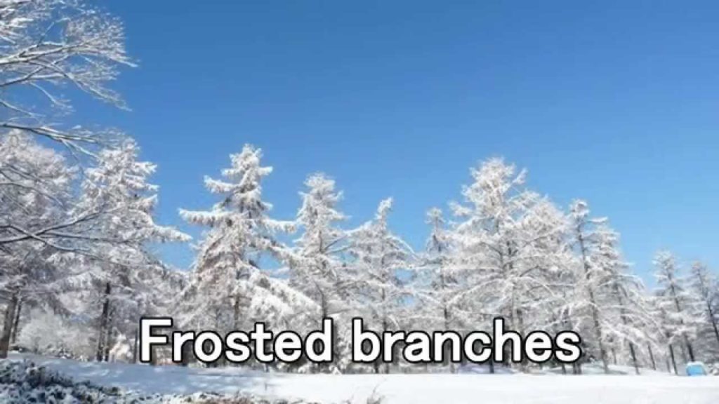 Japan Travel: Fun in the Snow at Furano Ski Area, Hokkaido 05 Japan Travel: Fun in the Snow at Furano Ski Area, Hokkaido 05