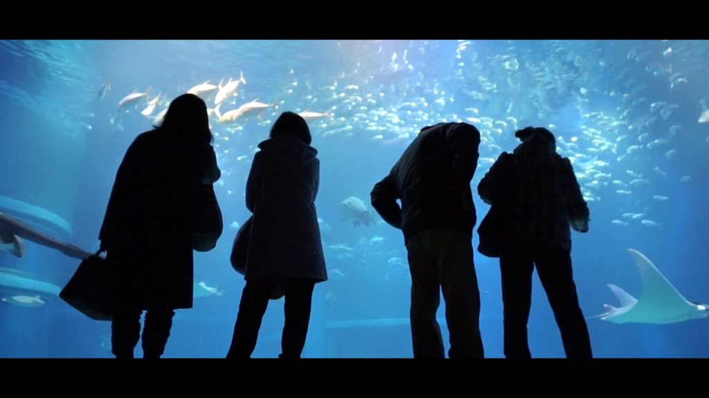 Travel Japan | Tokyo, Osaka, Hiroshima, Okayama Travel Japan | Tokyo, Osaka, Hiroshima, Okayama