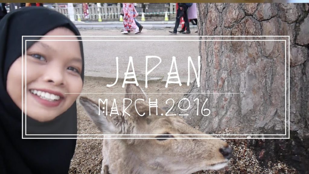 Osaka Japan | Travel