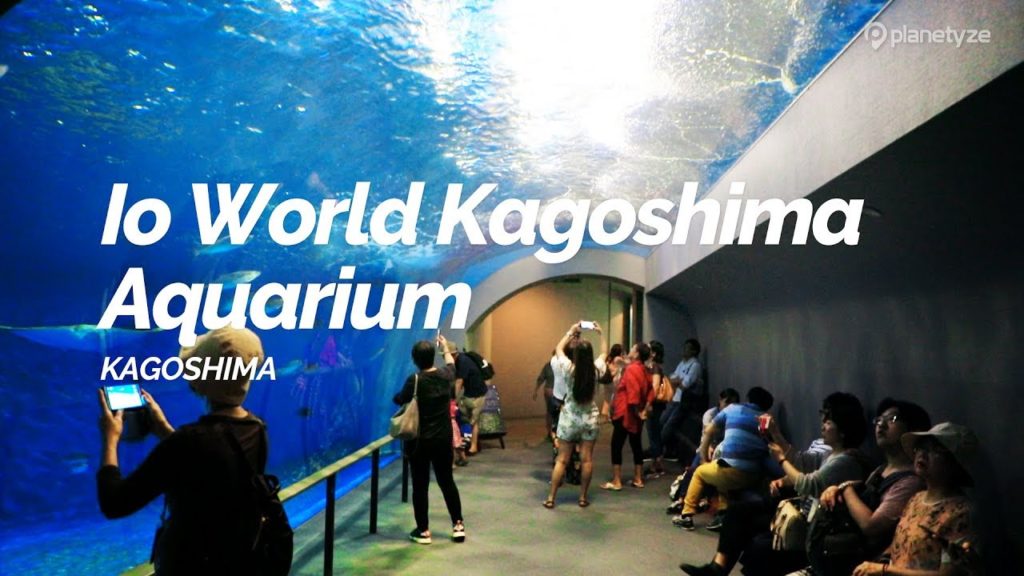 Io World Kagoshima Aquarium, Kagoshima | Japan Travel Guide