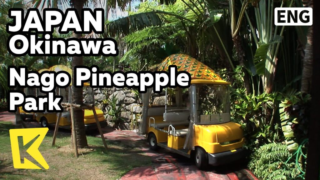 【K】Japan Travel-Okinawa[일본 여행-오키나와]나고 파인애플 파크, 파인애플 자동차 트래킹/Nago Pineapple Park/Car