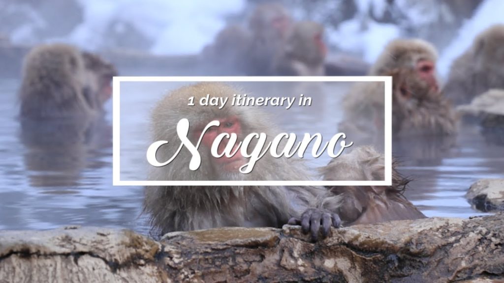 Nagano - 1 Day Itinerary (Zenko-ji Temple & Snow monkeys) | Japan Itinerary suggestion