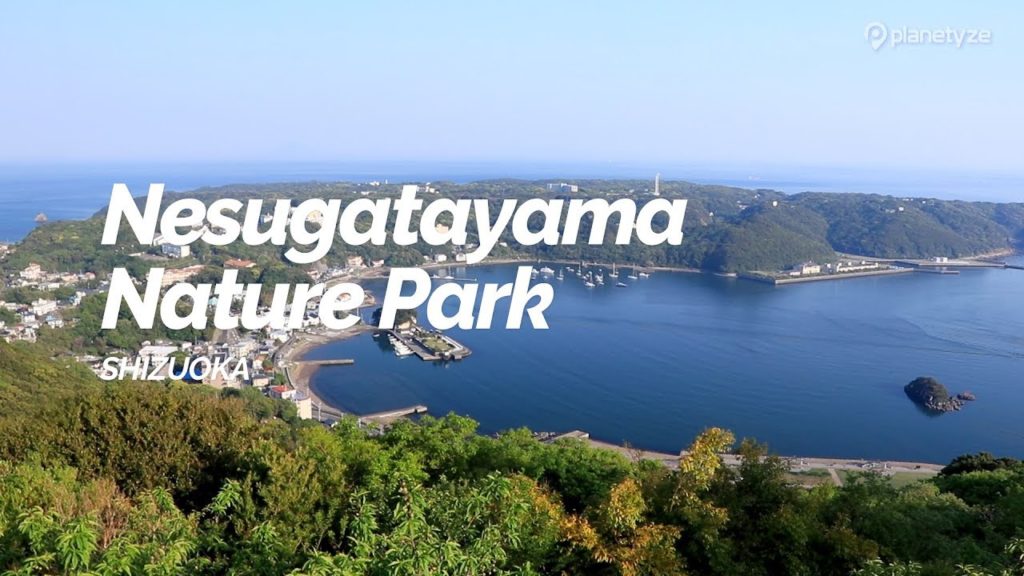 Nesugatayama Nature Park, Shizuoka | Japan Travel Guide Nesugatayama Nature Park, Shizuoka | Japan Travel Guide