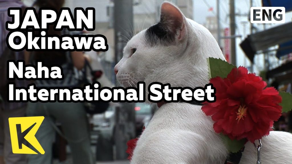 【K】Japan Travel-Okinawa[일본 여행-오키나와]기적의 1마일, 나하 국제거리/Naha International Street