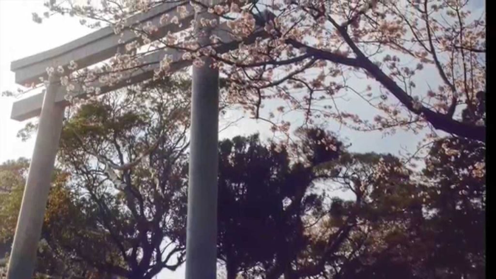 Japan: Kagoshima Life