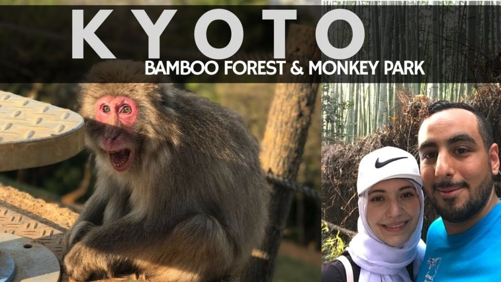 Kyoto Japan Travel Guide Vlog | Arashiyama Monkey Park & Bamboo Forest Kyoto Japan Travel Guide Vlog | Arashiyama Monkey Park & Bamboo Forest