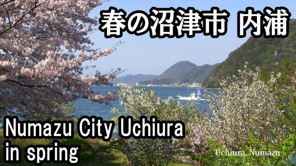 春の沼津市内浦 Numazu City Uchiura Spring 春の沼津市内浦 Numazu City Uchiura Spring