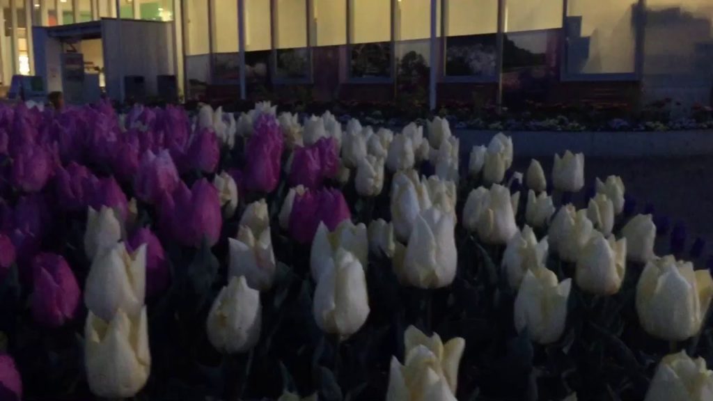 Flower Park Hamamatsu-shi Shizuoka Japan