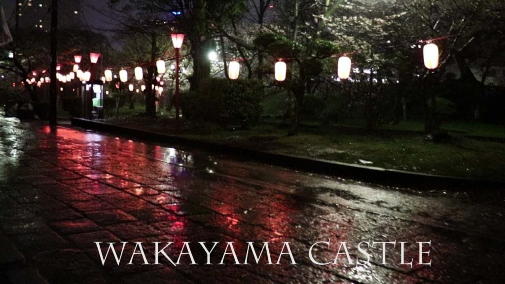 Wakayama Castle Cherry Blossom by Night 和歌山城 うろうろ和歌山 Travel Japan Wakayama Castle Cherry Blossom by Night 和歌山城 うろうろ和歌山 Travel Japan