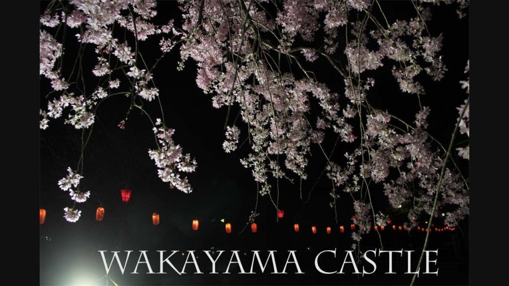 Wakayama Castle Cherry Blossom by Night 和歌山城 うろうろ和歌山 Travel Japan Wakayama Castle Cherry Blossom by Night 和歌山城 うろうろ和歌山 Travel Japan