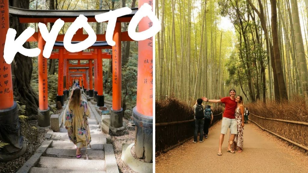 KYOTO IN ONE DAY - Fushimi Inari, Bamboo Forest & Snow Monkeys!