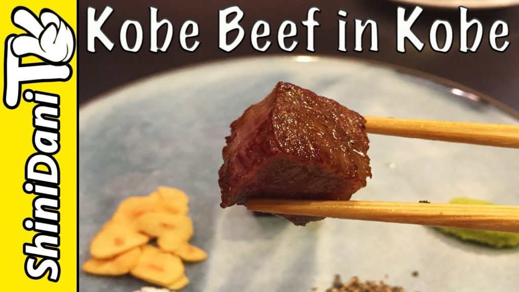 Japan Travel Vlog Day 2 – KOBE Beef in KOBE Japan Travel Vlog Day 2 - KOBE Beef in KOBE