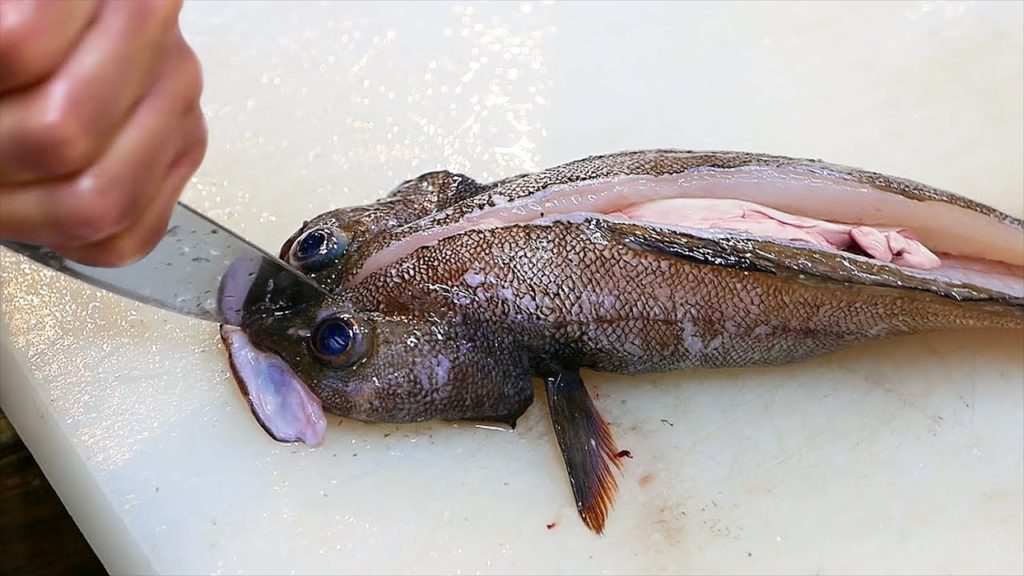 Japanese Street Food - DARK SLEEPER PERCH FISH Okinawa Seafood Japan