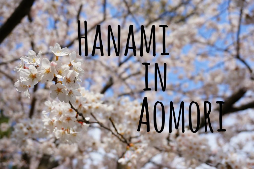 Hanami in Aomori City, Japan