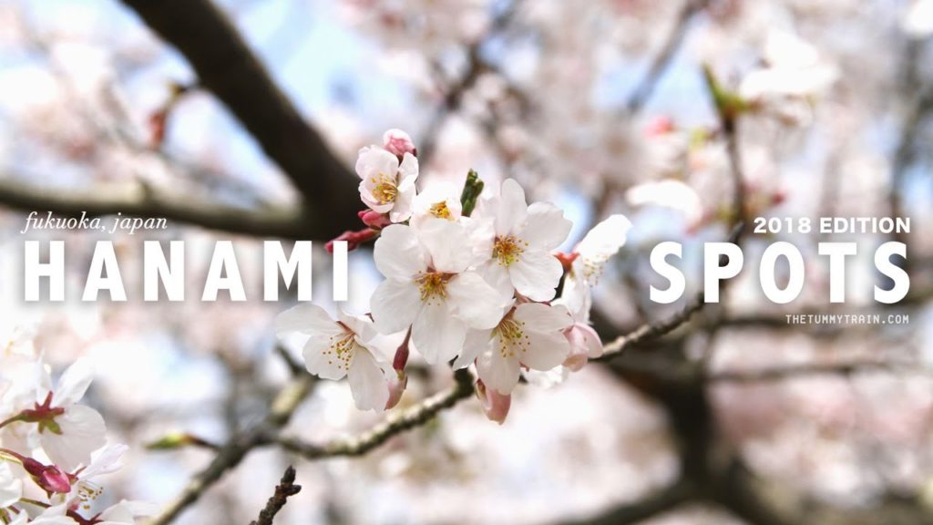 Fukuoka Spring 2018 TRAVEL VLOG | 5 Places to see Cherry Blossoms in Fukuoka | The Tummy Train