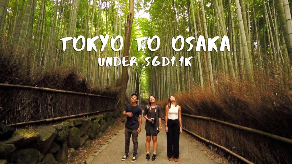 Japan Budget Guide - 10D Tokyo to Osaka for under S$1.1k using the JR Pass | The Travel Intern