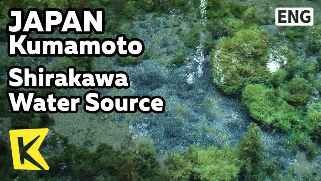【K】Japan Travel-Kumamoto[일본 여행-구마모토]시라카와 수원지, 아소의 생명수/Shirakawa Water Source/Spring Water