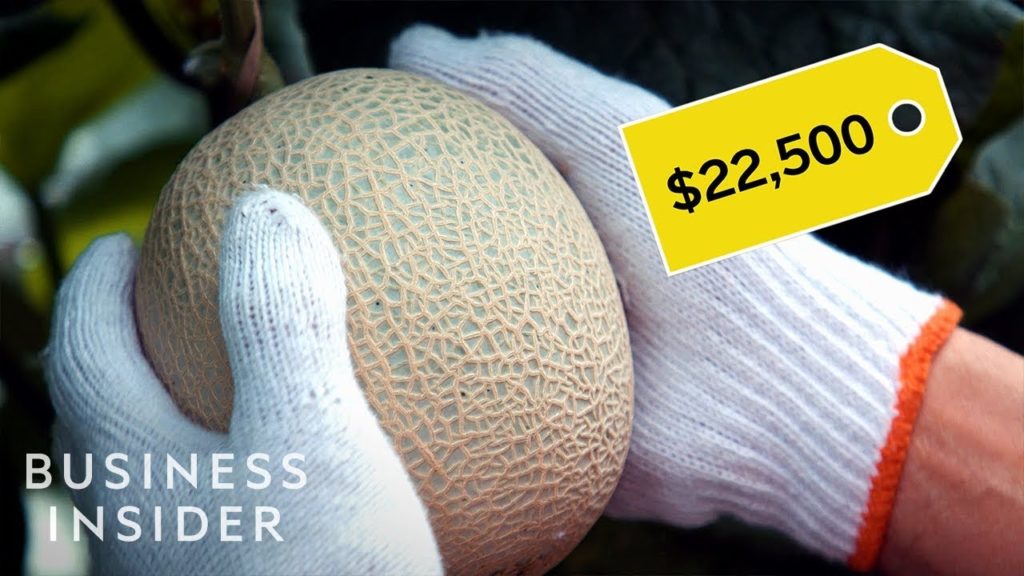 Why Japanese Melons Are So Expensive | So Expensive Why Japanese Melons Are So Expensive | So Expensive
