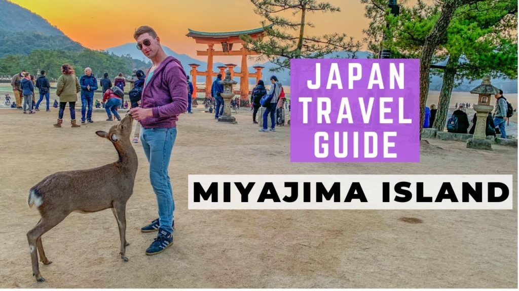 Miyajima Island Travel Tips | Japan Budget Travel Guide Miyajima Island Travel Tips | Japan Budget Travel Guide