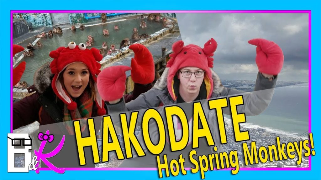 Hakodate Guide: Morning Market, Hot Spring Monkeys, and More!