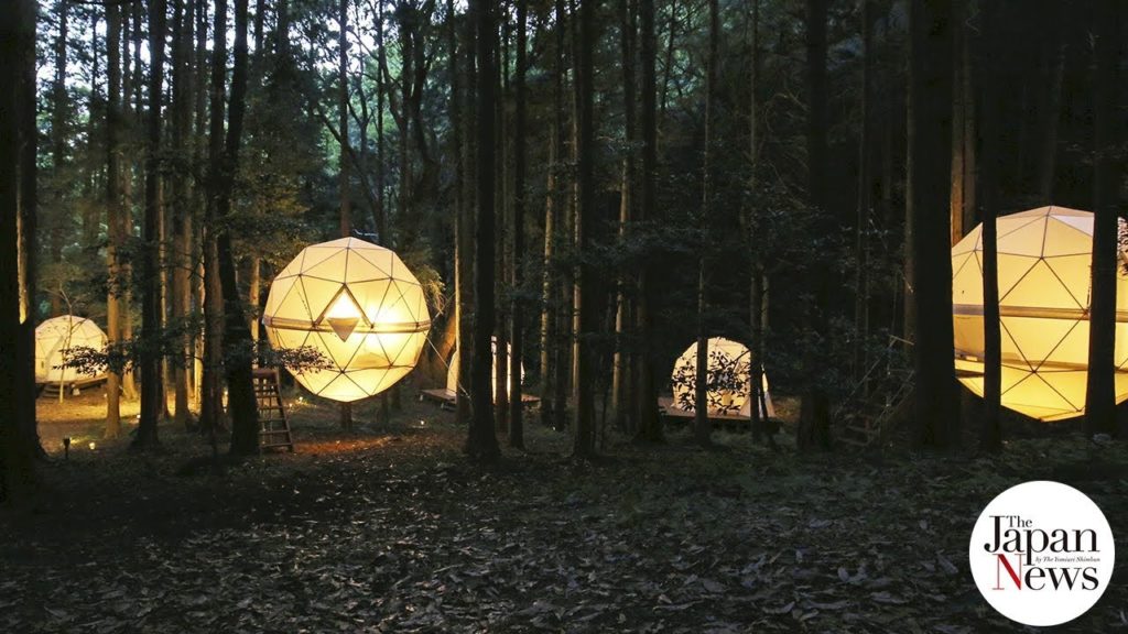 Shizuoka woods reborn with glowing tents - The Japan News