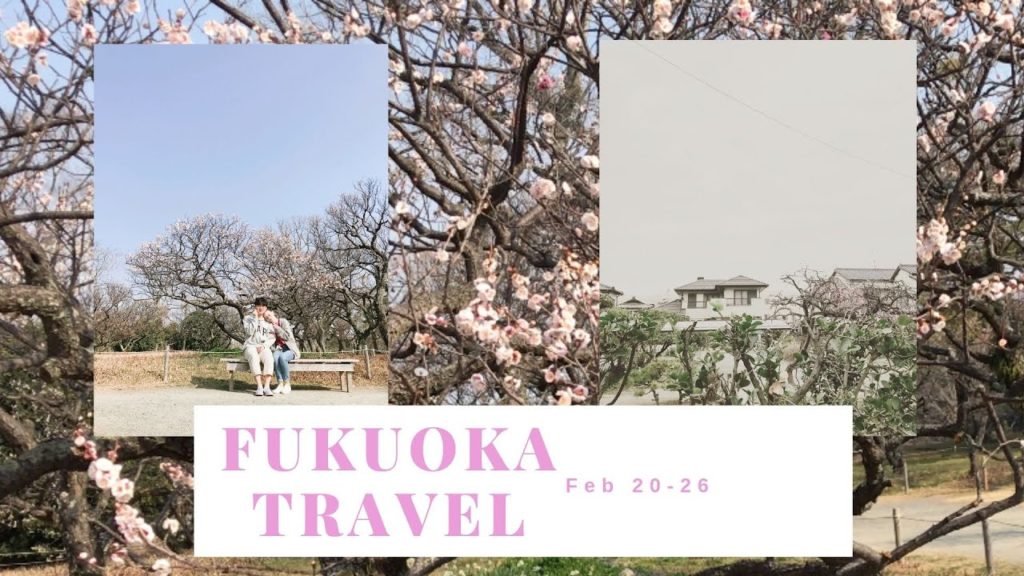 Fukuoka travel!! (Beautiful Castle)