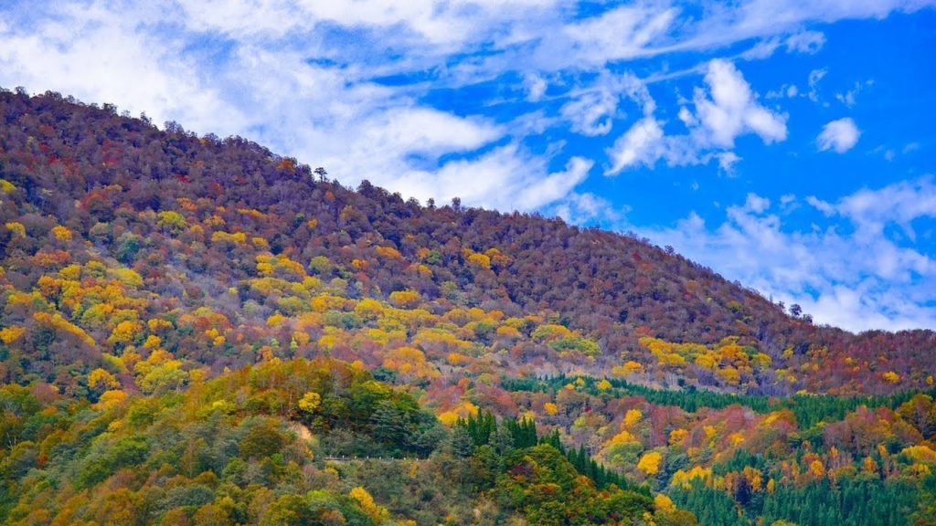 THE BEST TRAVEL DESTINATIONS IN JAPAN IN OUR CAMPER VAN! LAKE TOWADA-KO, NIIGATA & AKITA! THE BEST TRAVEL DESTINATIONS IN JAPAN IN OUR CAMPER VAN! LAKE TOWADA-KO, NIIGATA & AKITA!