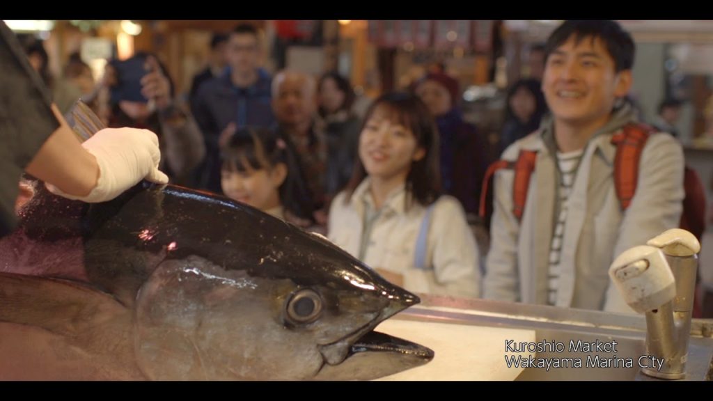 Travel  Live  Wakayama City