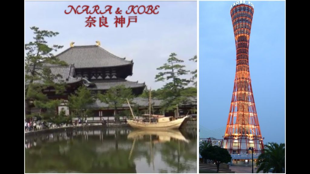 Japan Vlog | Nara and Kobe | Travel dairies Japan Vlog | Nara and Kobe | Travel dairies