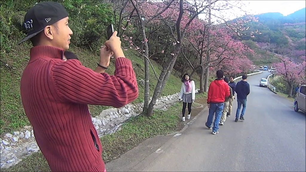 SAKURA FESTIVAL 2018 (PART 1)