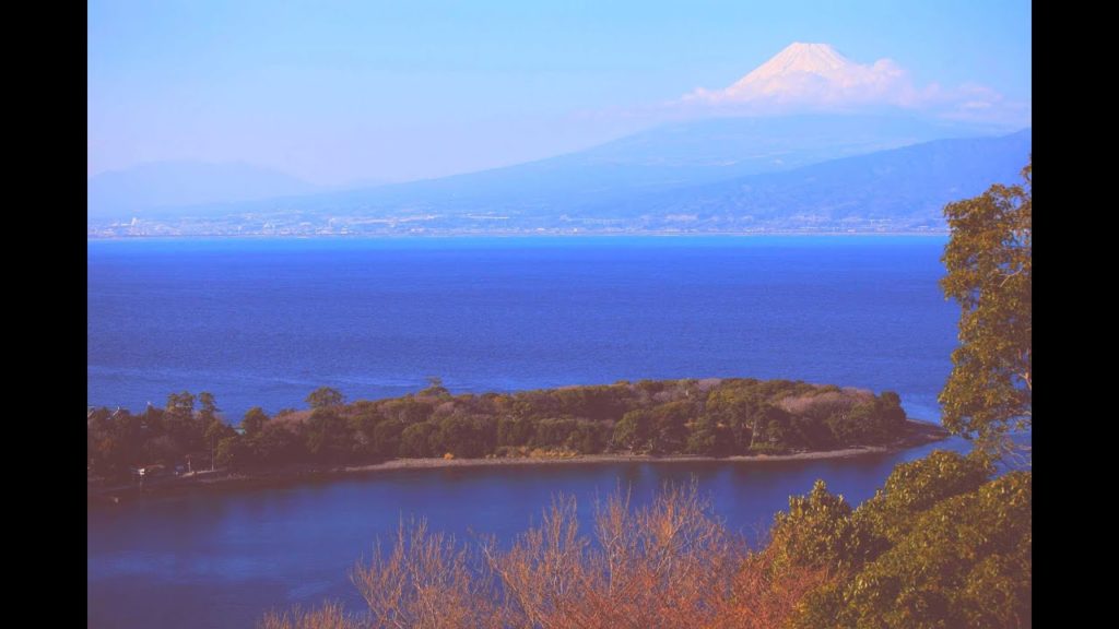 JG☆☆☆ 4K HDR 静岡 伊豆の早春と富士 大瀬崎のビャクシン(天然記念物)と井田の菜の花 Shizuoka,Ose(Natural Monument) and Ida