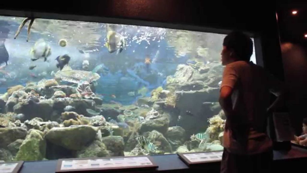 Sunday at Shirahama Beach, Wakayama, Japan Sunday at Shirahama Beach, Wakayama, Japan